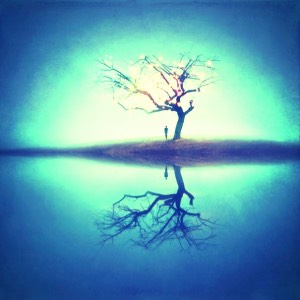 Rüyada bir tencere yaprak sarması görmek - rüyam hayır mı?